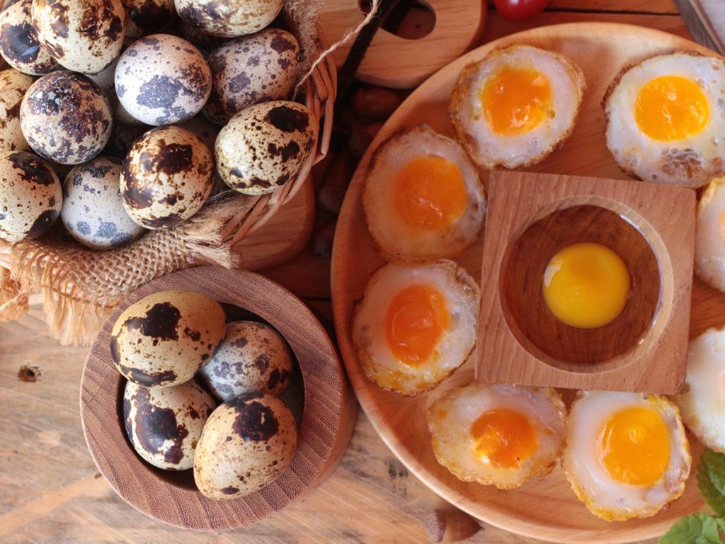 Những công dụng tuyệt vời của trứng cút có thể bạn chưa biết 1
